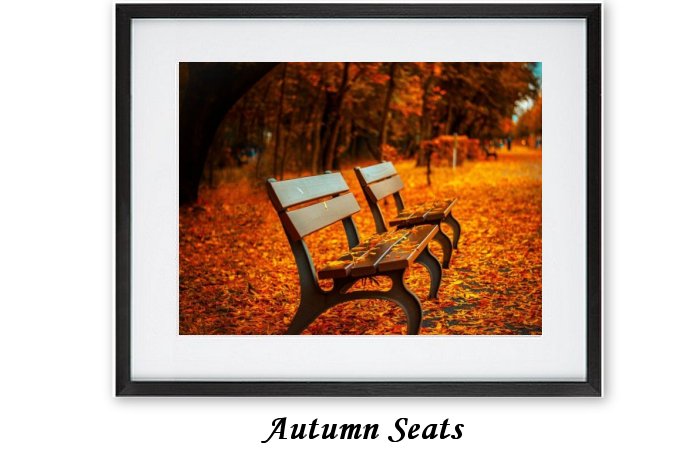 Autumn Seats Framed Prints